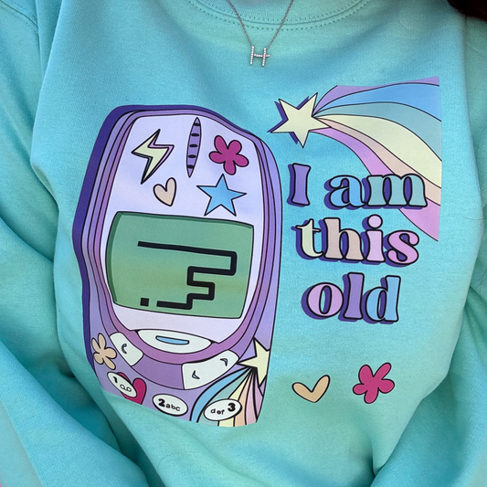 Cosy Colourful Retro Throwback Crewneck Sweater | Inspired By Snake/3310